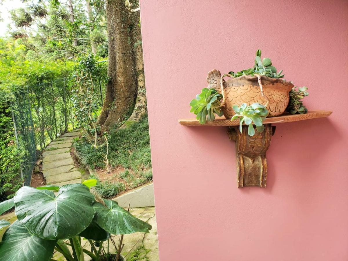 Casa Fazenda Inglesa - Anexo Villa เปโตรโปลิส ภายนอก รูปภาพ